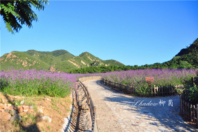 密云天气40天 wKgBpVX5IoWAfZE8AAkOh8yA39s49.jpeg?imageView2%2F2%2Fw%2F680%2Fq%2F90