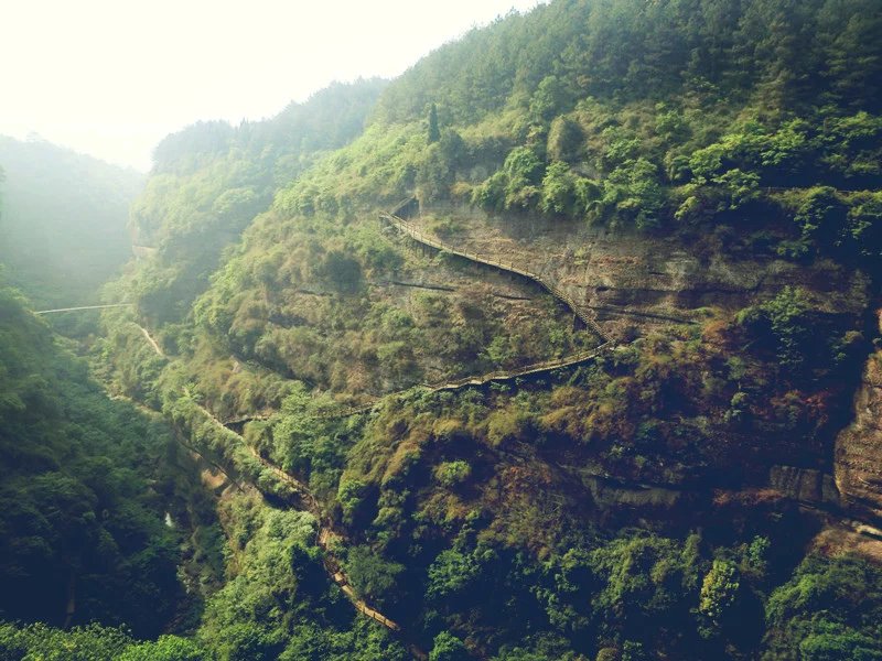 wKgBpVVEN_KACQRKAAHmiFaRpjM37.jpeg?imageMogr2%2Fthumbnail%2F%21315x220r%2Fgravity%2FCenter%2Fcrop%2F%21315x220%2Fquality%2F90