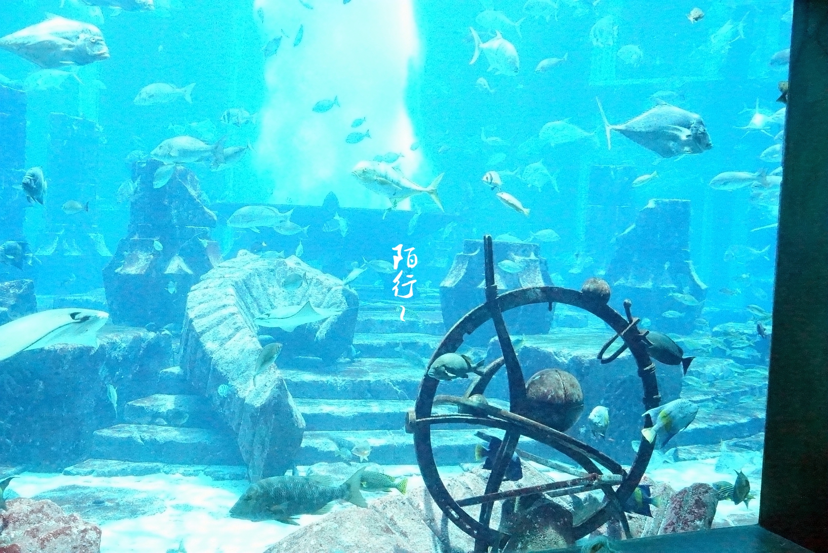 wKgBpVXK6ZGAMaJwABaceiinHBw12.jpeg?imageView2%2F2%2Fw%2F600%2Fh%2F600%2Fq%2F90%7Cimageslim