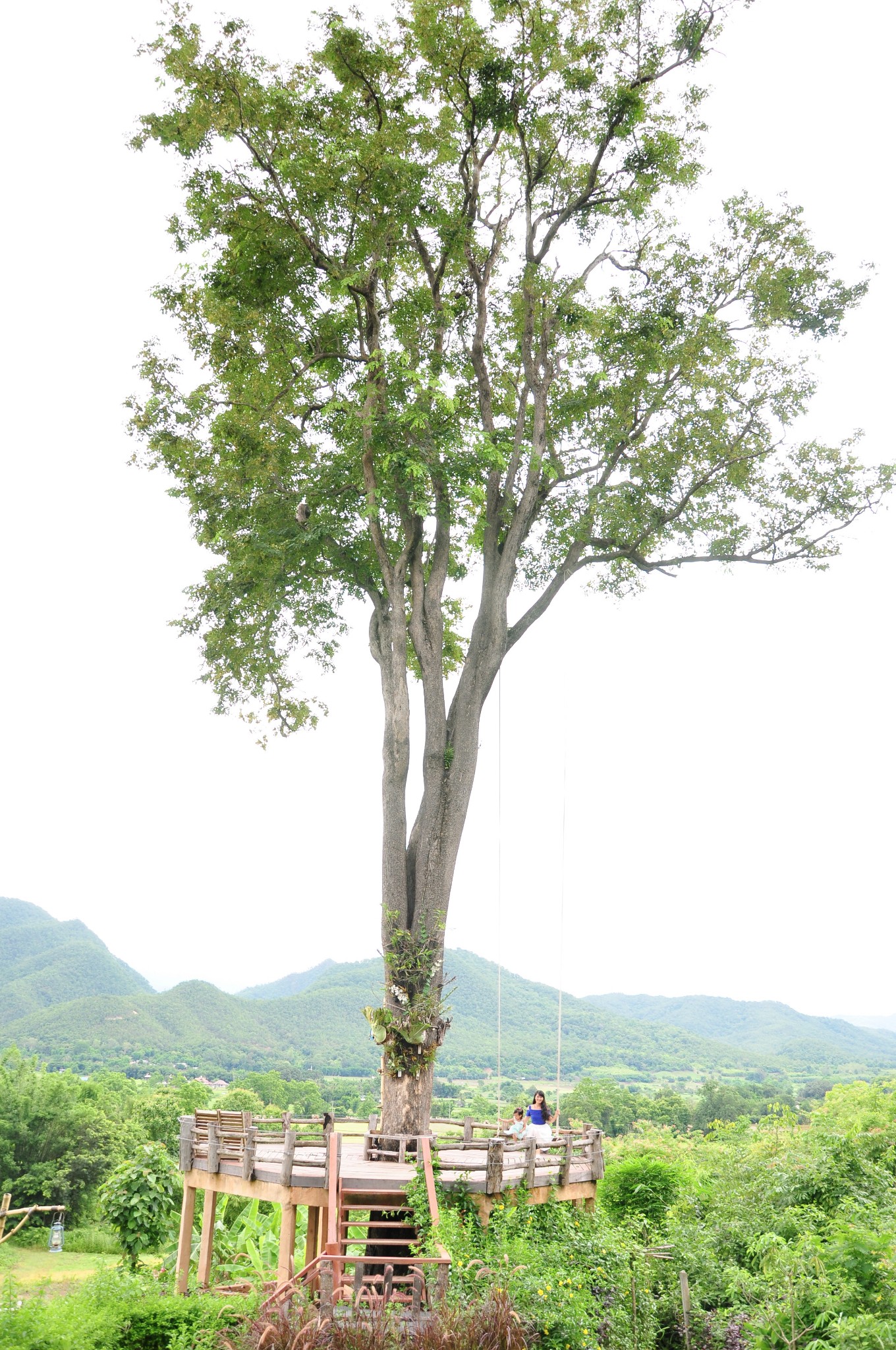 清邁自助遊攻略