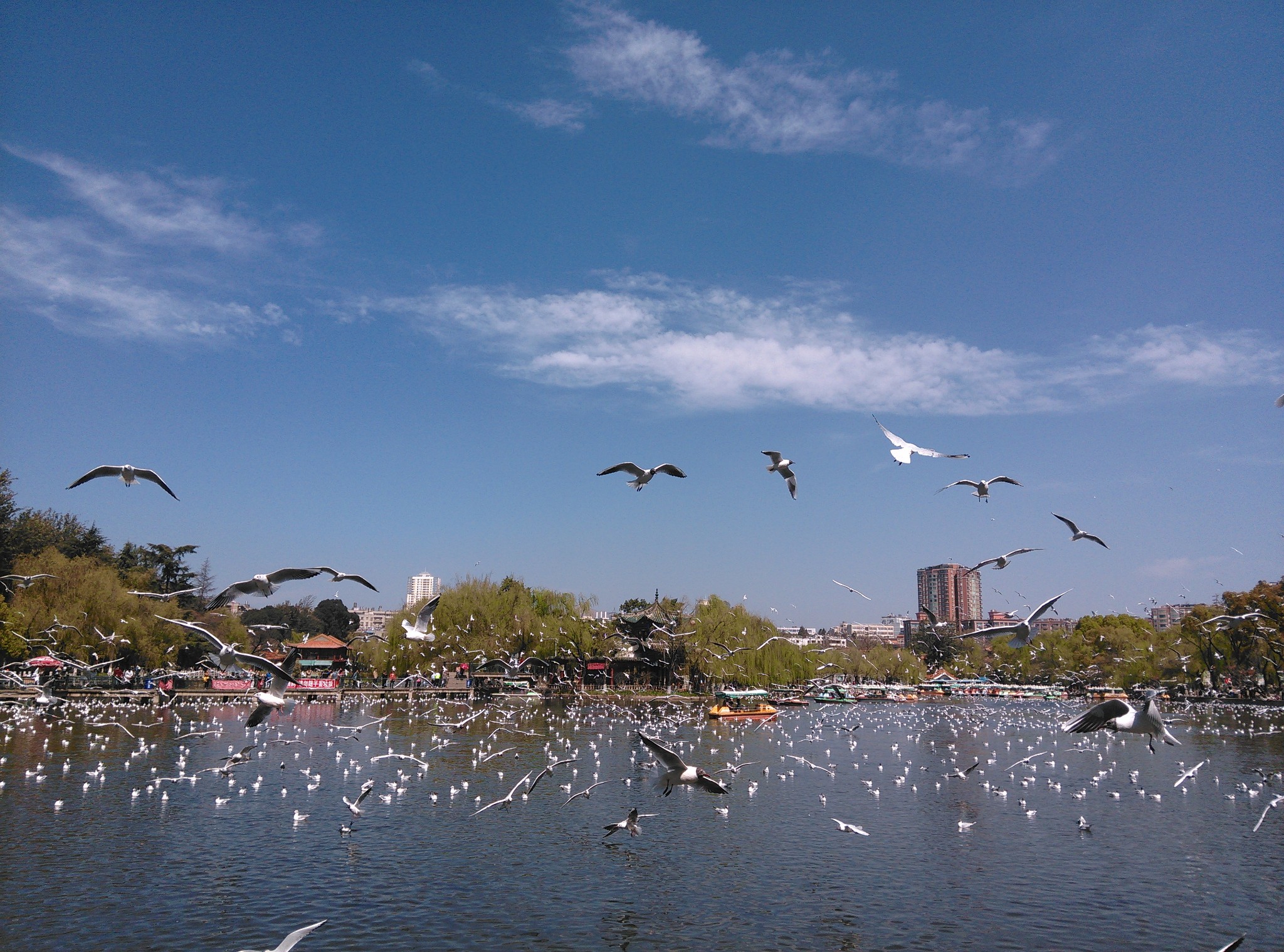 wKgBpVUSzDuAMe4dAA3bx2i4kLc56.jpeg?imageView2%2F2%2Fw%2F680%2Fq%2F90%7CimageMogr2%2Fstrip%2Fquality%2F90