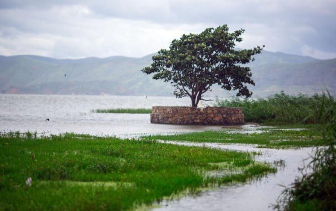 wKgBpVV2qFiAH6lrAADwX2ekrhk46.jpeg?imageView2%2F2%2Fw%2F600%2Fq%2F90