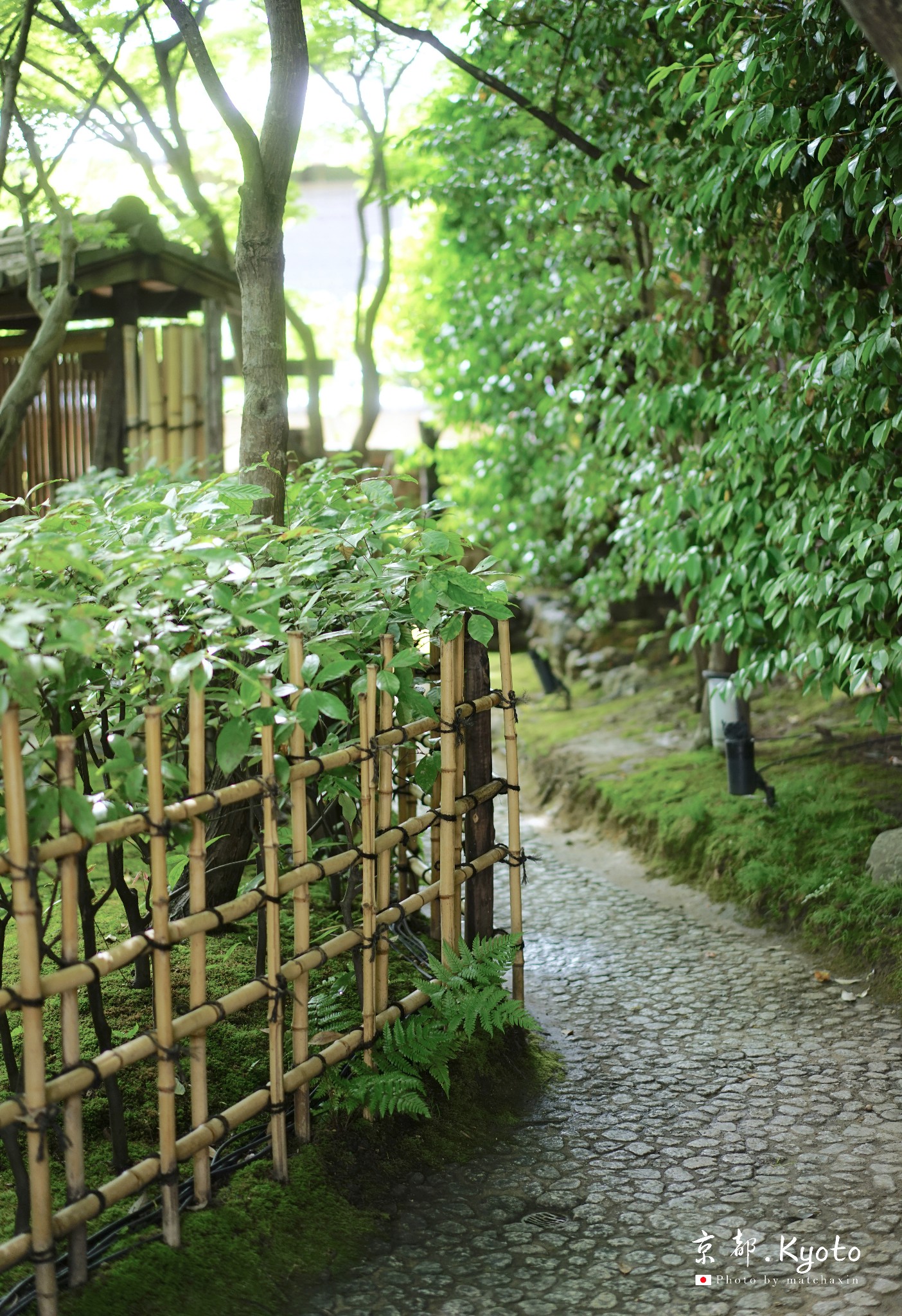 京都自助遊攻略