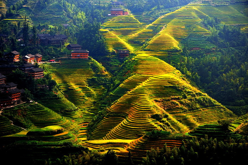 一生必去一次的龙脊梯田,出游桂林带你解锁花样玩法!
