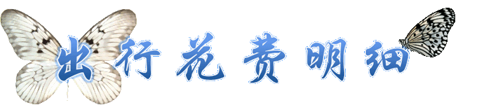 出行花费 出行花费