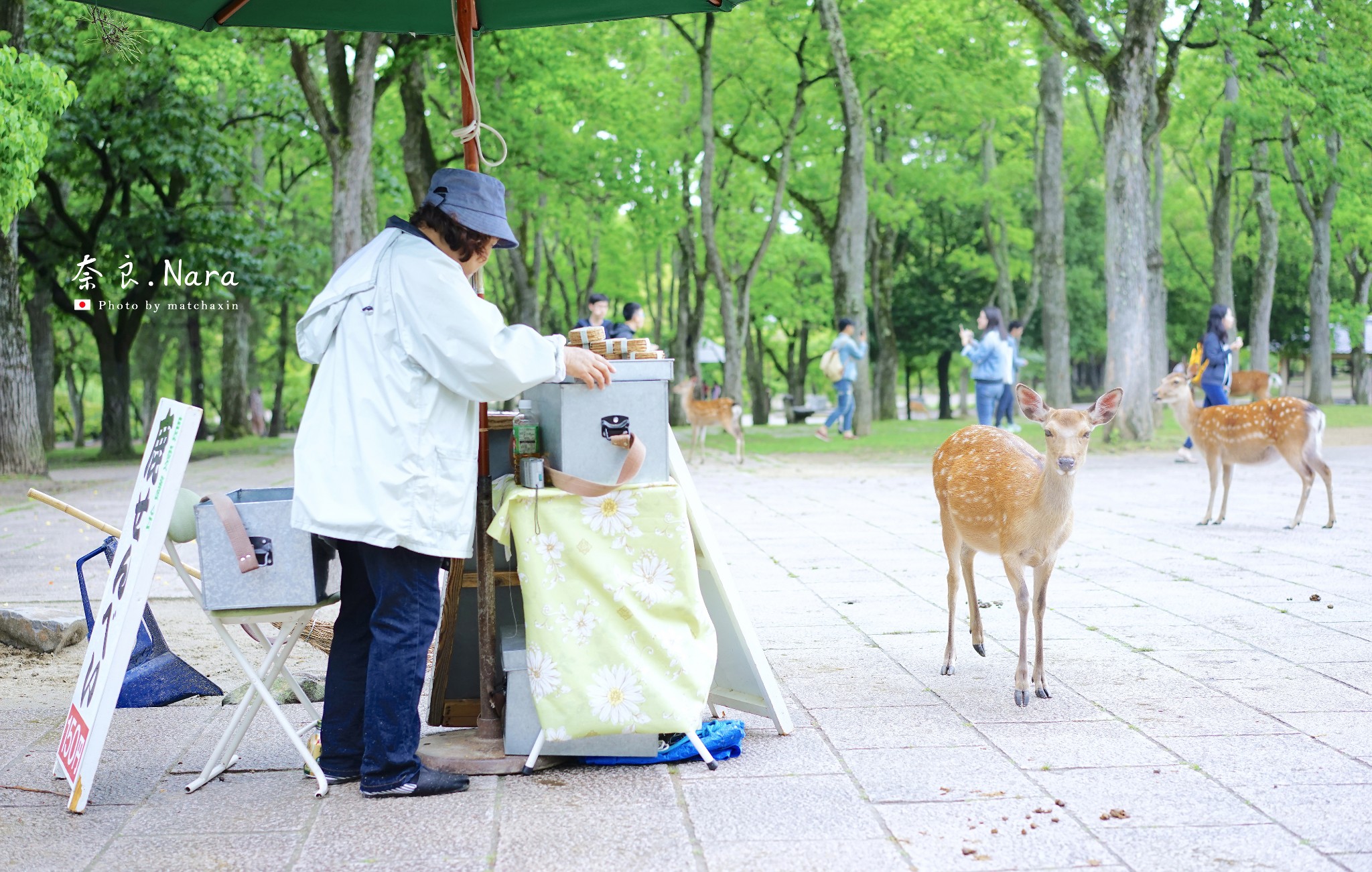 京都自助遊攻略