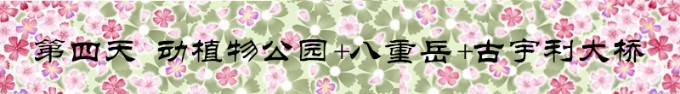 Day4 包车一日游 Day4 包车一日游