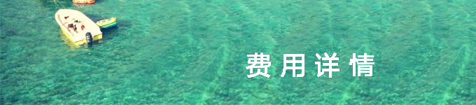 费用详情 费用详情