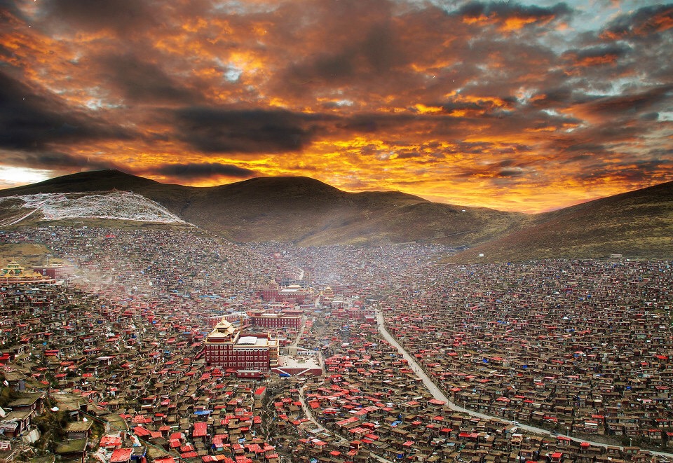 票圈网络图镇楼,就这一张,我想给大家一个满满的视觉冲击.