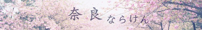 奈良 奈良