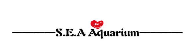 SEA Aquarium SEA Aquarium