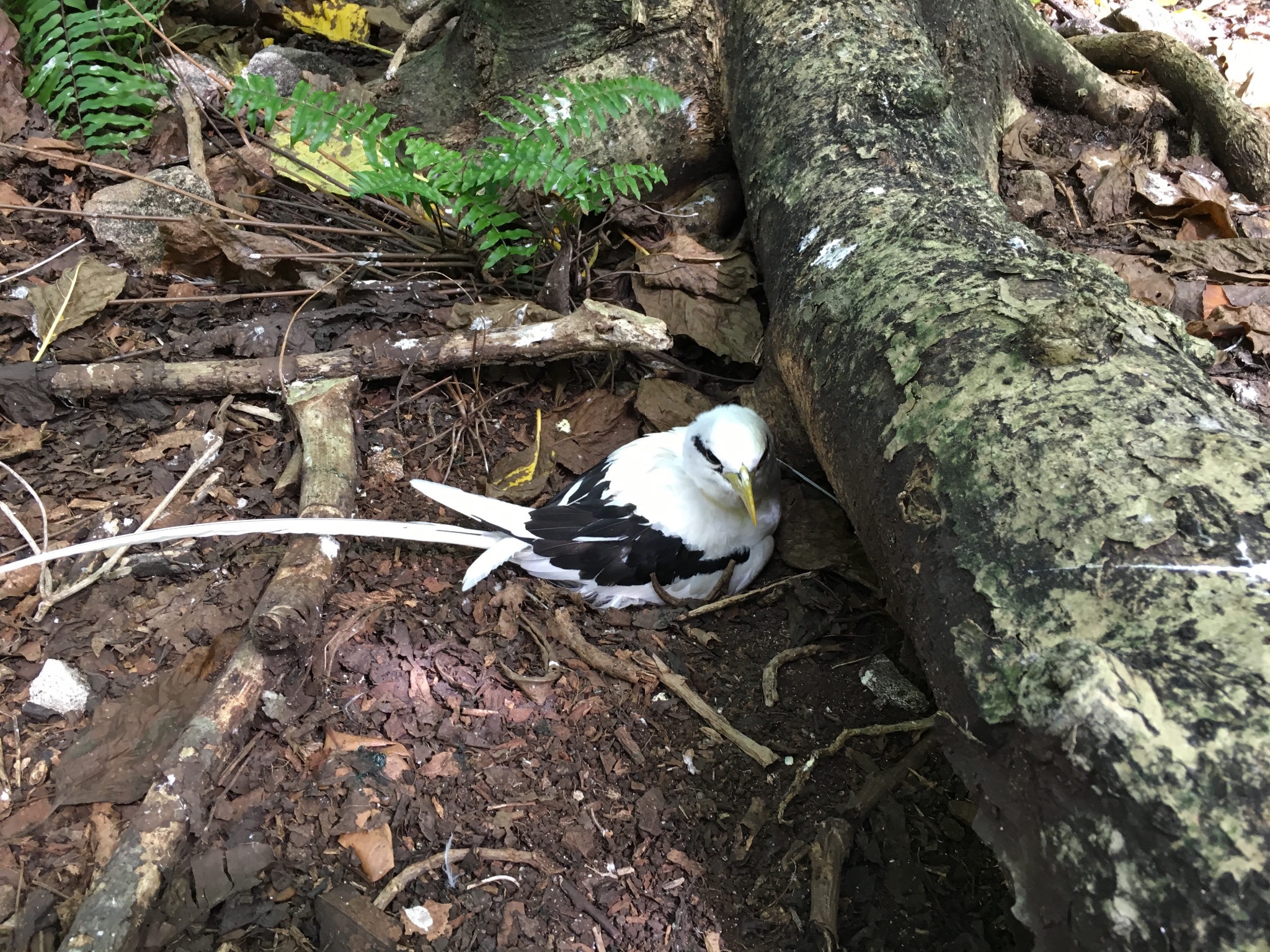 wKgBs1d-PFyAfAmBABmutC74_AE62.jpeg?imageView2%2F2%2Fw%2F680%2Fq%2F90