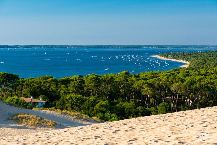 波尔多格拉夫产区酒庄参观 阿卡雄大沙丘一日游(酒店接送 中文司导)