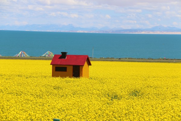 西海情歌里的西海指什么地方 wKgBs1hFhqWAEj8IAAu3kKyYvDw72.jpeg?imageView2%2F2%2Fw%2F600%2Fh%2F600%2Fq%2F90