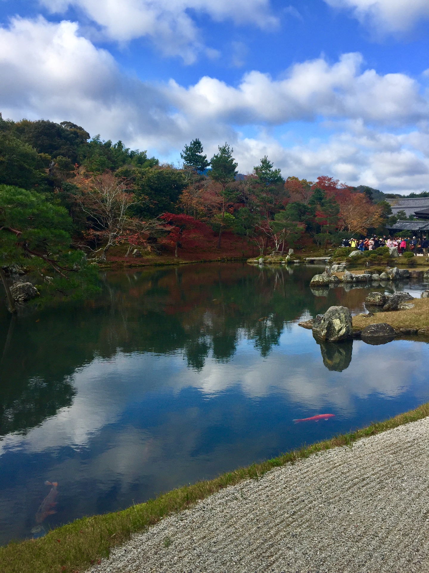 京都自助遊攻略