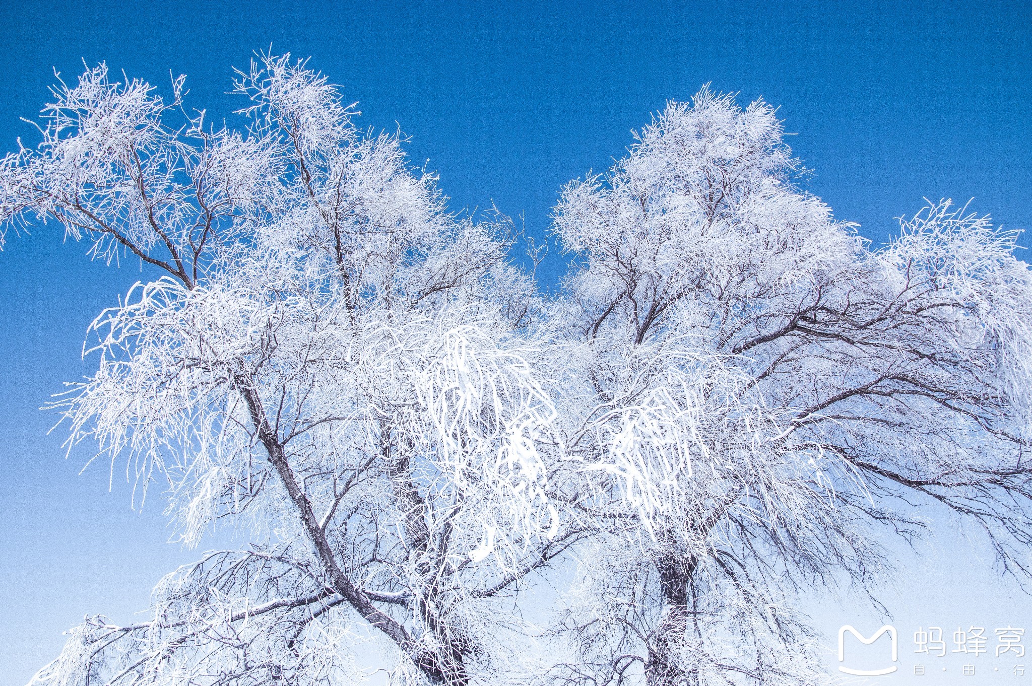wKgBs1cQldCAXupRABiOAvaSeDQ34.jpeg?imageView2%2F2%2Fw%2F680%2Fq%2F90%7CimageMogr2%2Fstrip%2Fquality%2F90