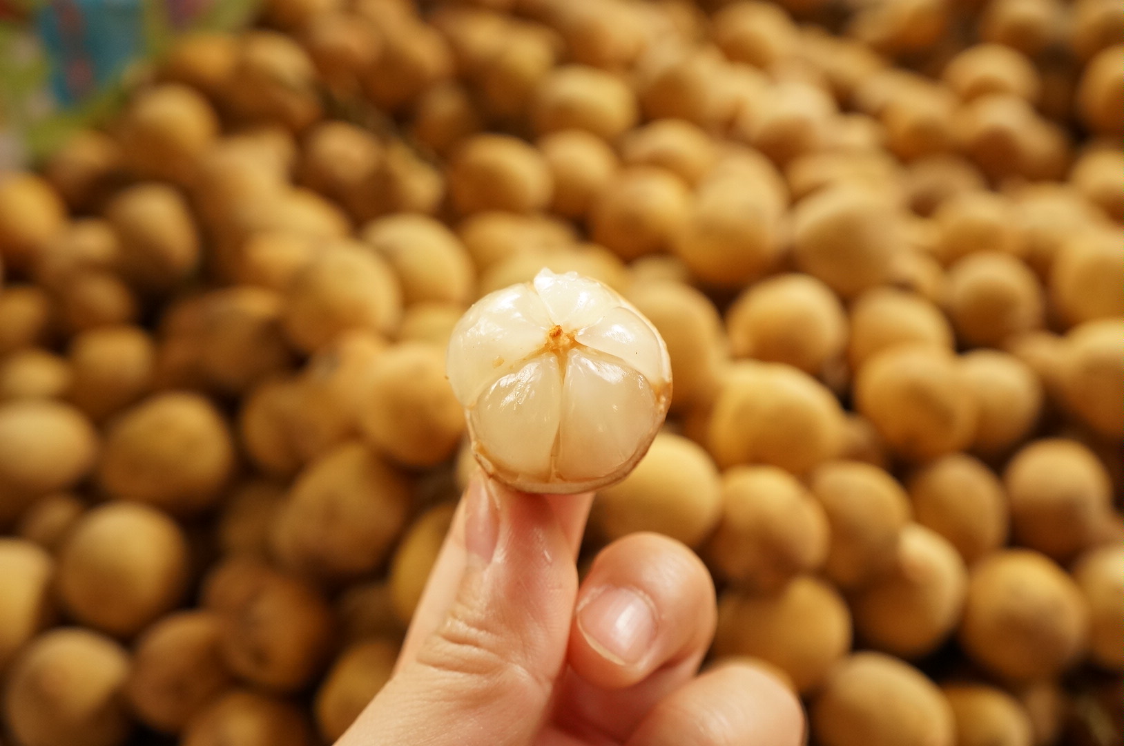 这个长得很像龙眼的龙功果,在国内很少见