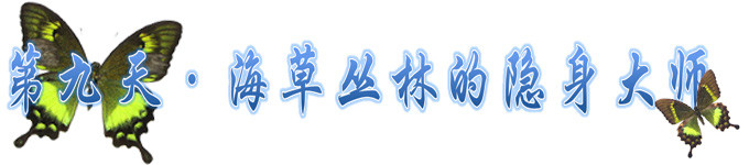 第九天~海草丛林 第九天~海草丛林