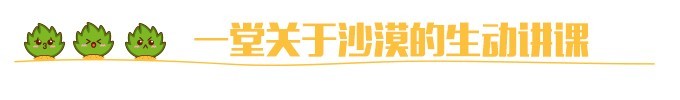 一堂关于沙漠的生动讲课 一堂关于沙漠的生动讲课