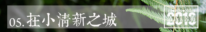 在清迈 在清迈