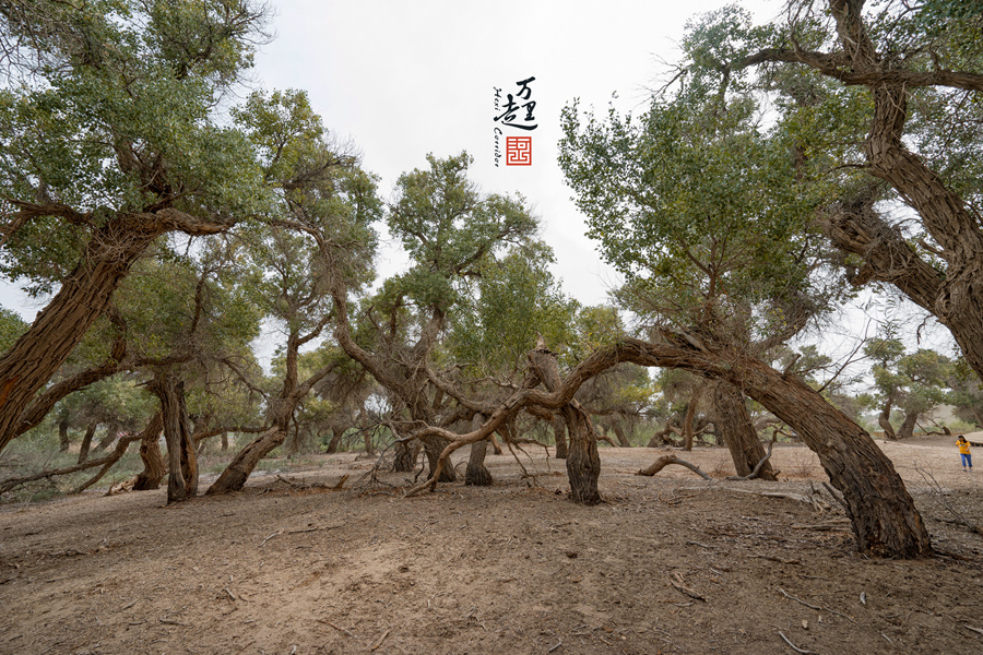 河西走廊自助遊攻略