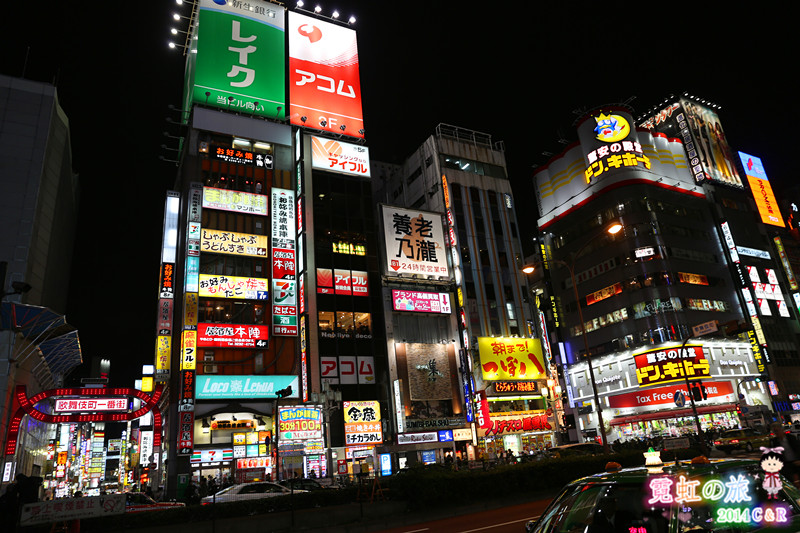 新宿内衣店_新宿天鹅(3)