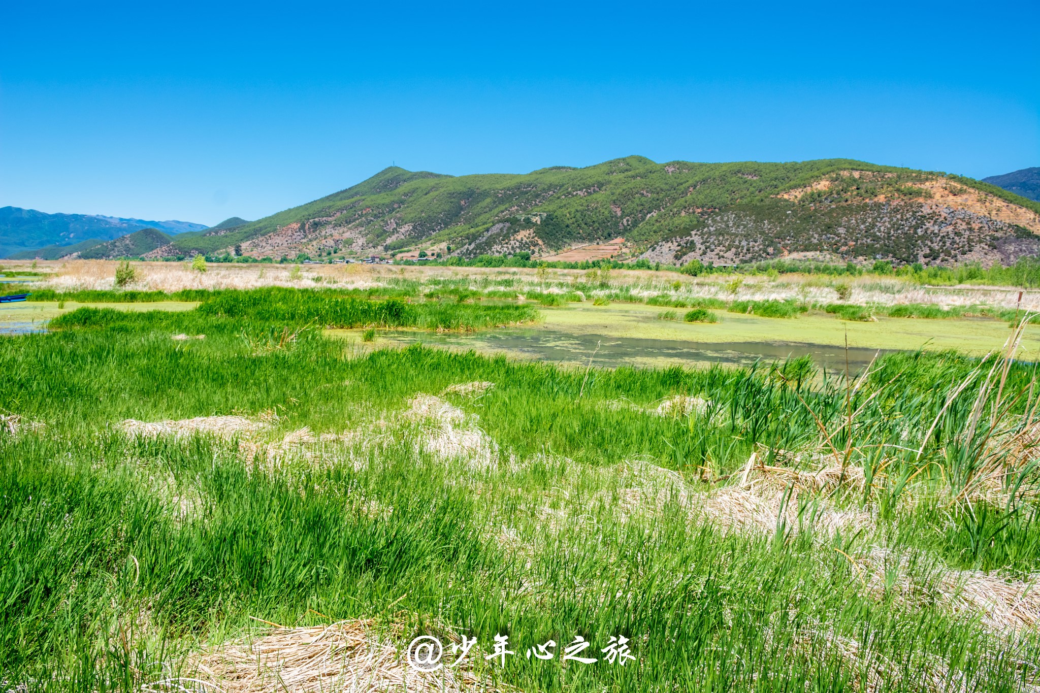 雲南自助遊攻略