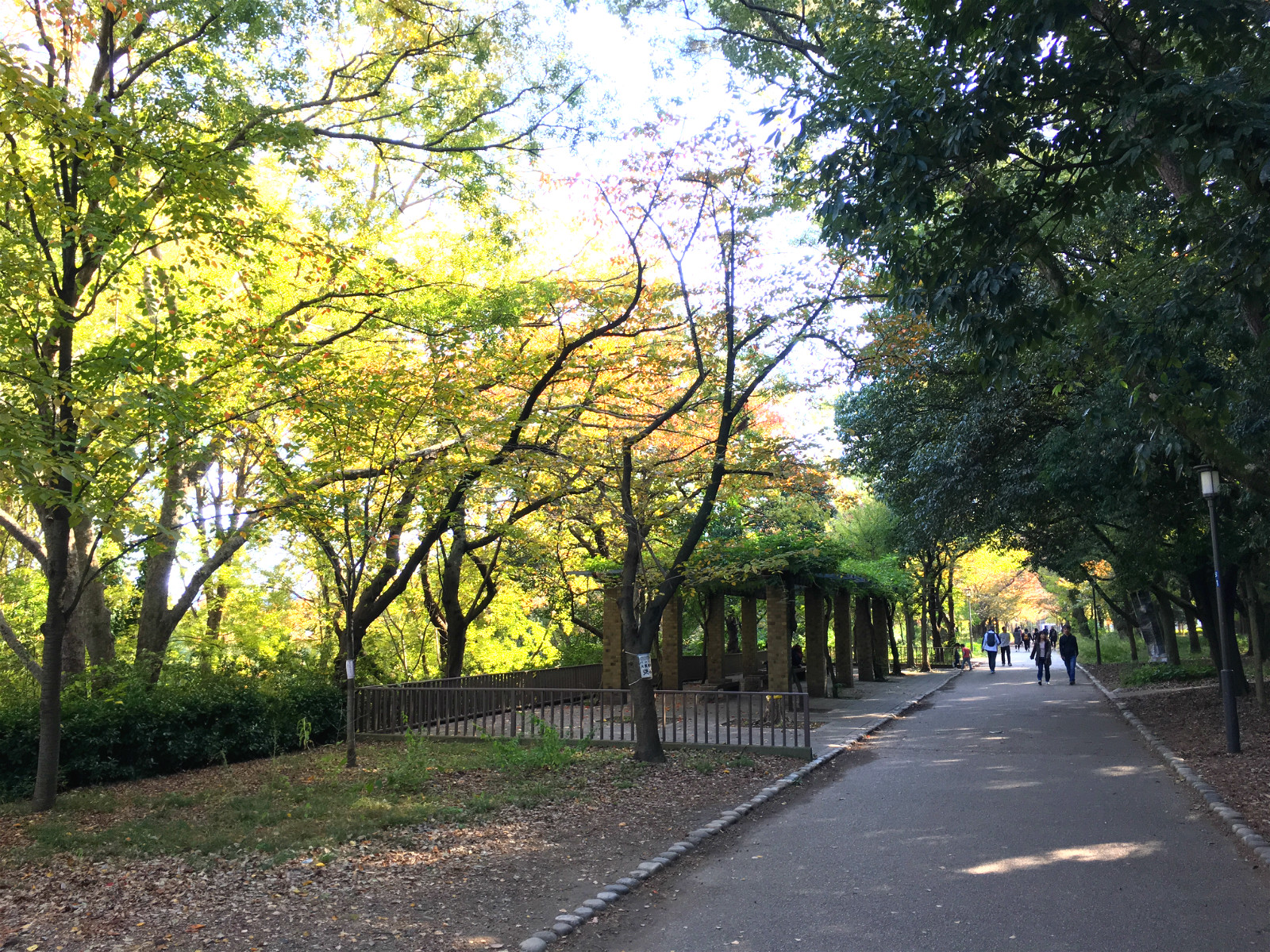 京都自助遊攻略