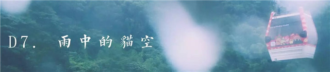 D7. 雨中的貓空 D7. 雨中的貓空