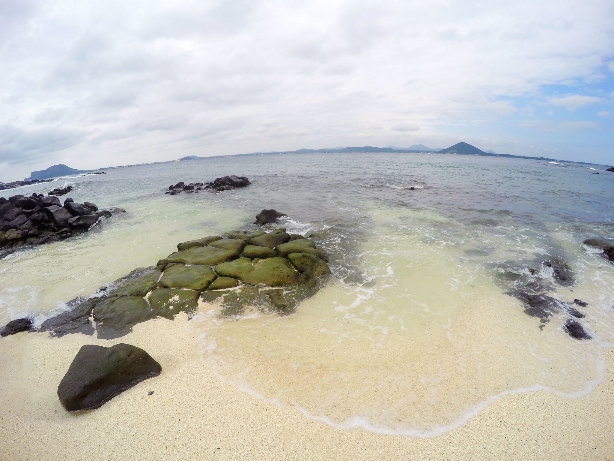 济州排名_济州真柏盆景图片(3)