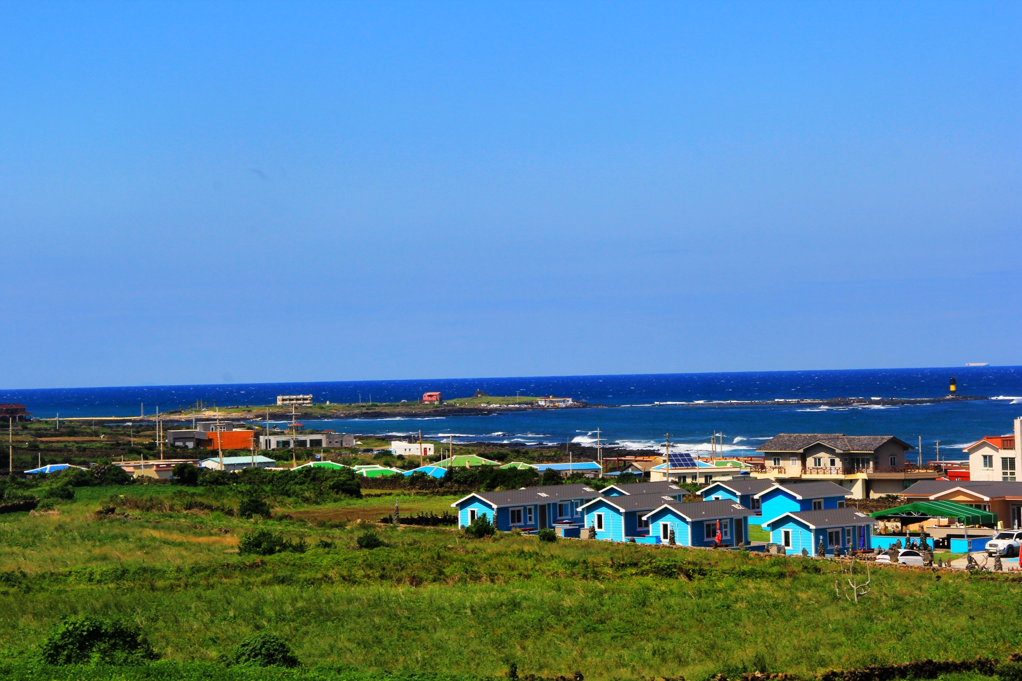 济州排名_济州真柏盆景图片(2)