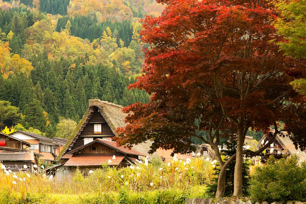 日本风景壁纸高清小镇图片