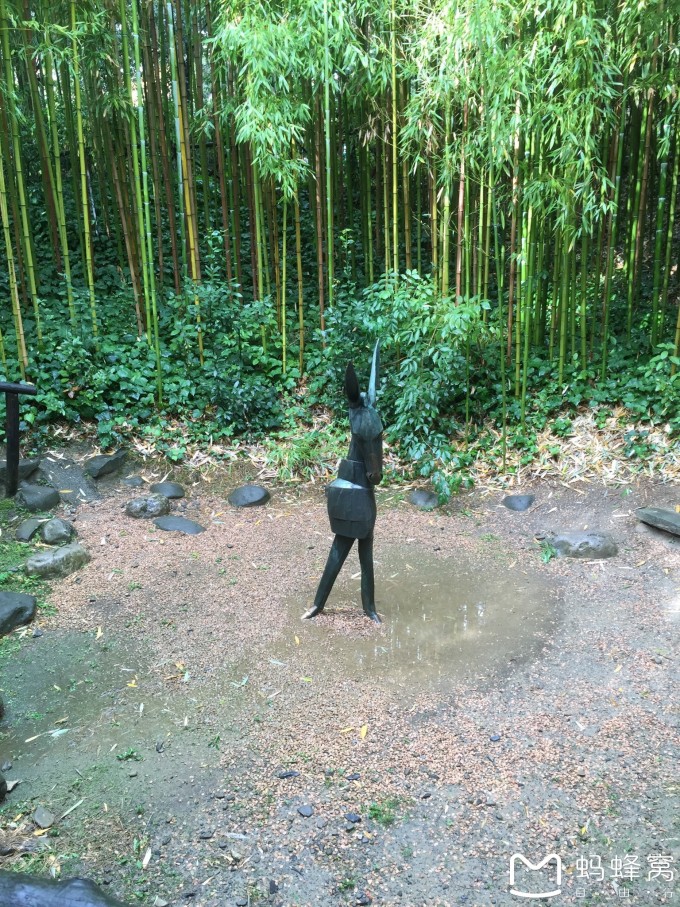 带着孩子去旅行---2015年国庆节意大利亲子十