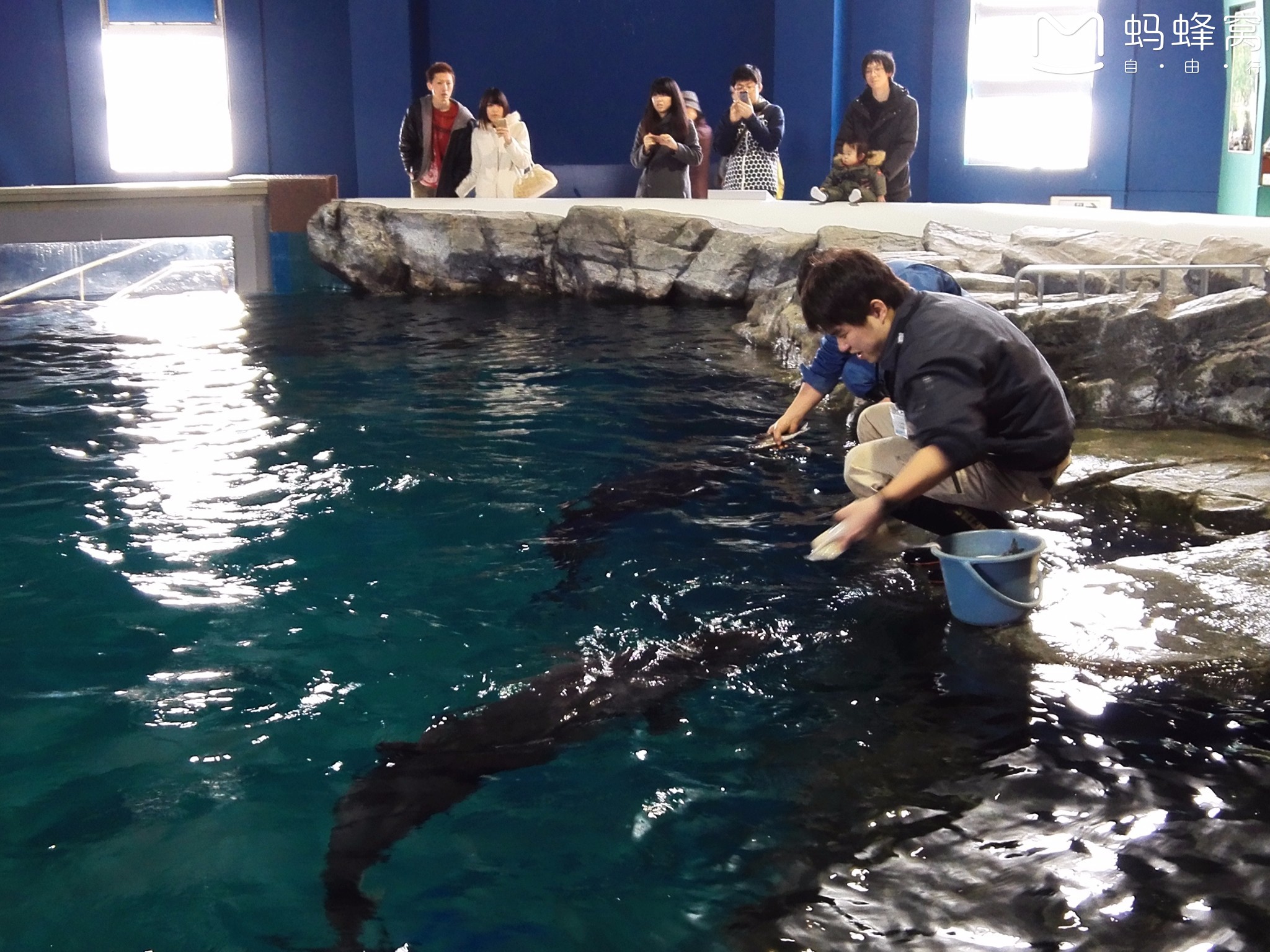 北海道自助遊攻略