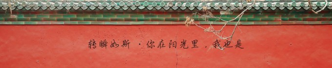 转瞬如斯 · 你在阳光里,我也是 转瞬如斯 · 你在阳光里,我也是