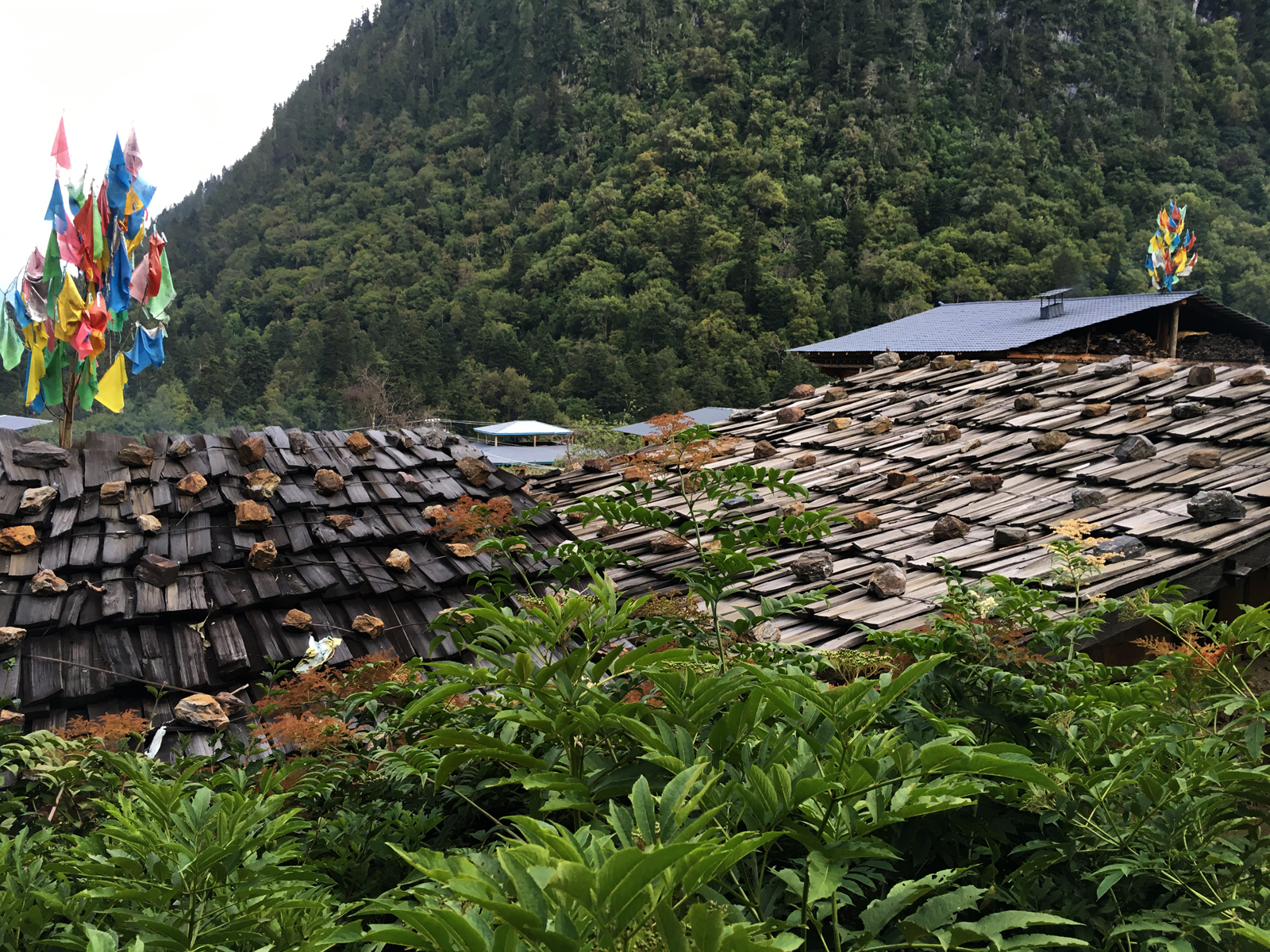 雨崩自助遊攻略