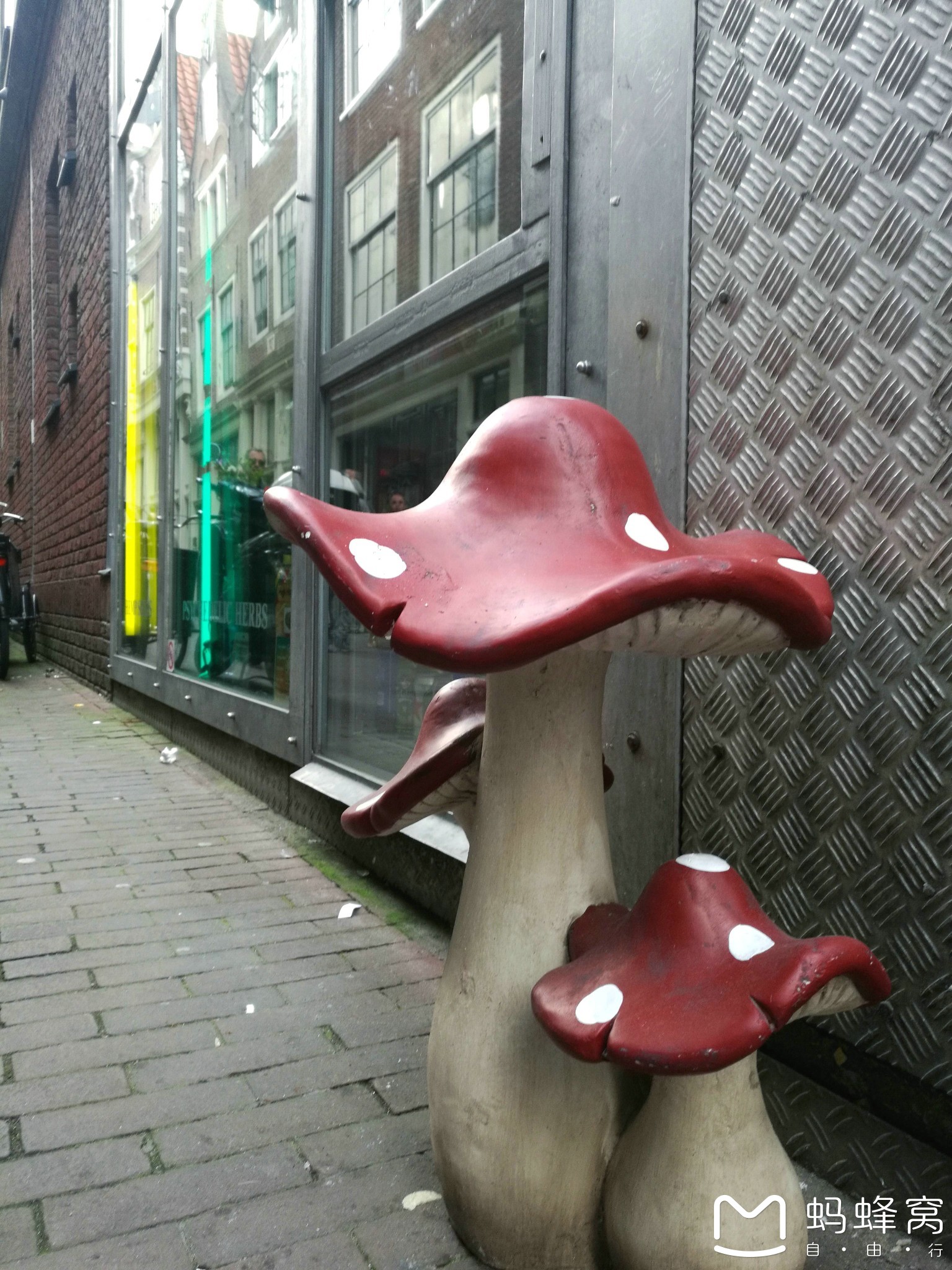 wKgBs1fqKByAcvPAAAtQNdpOJcc37.jpeg?imageView2%2F2%2Fw%2F600%2Fh%2F600%2Fq%2F90