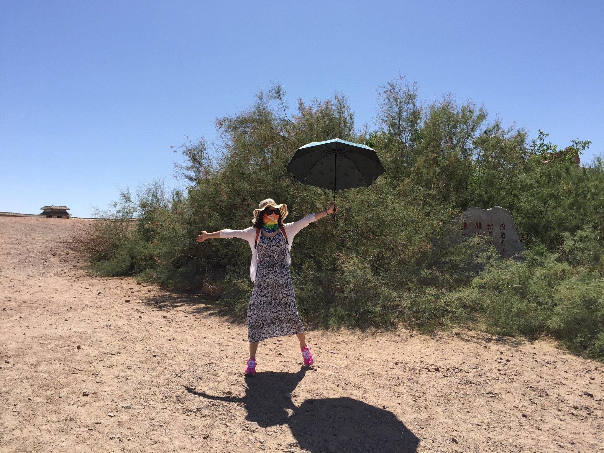 一路逆风简谱_破云主题曲逆风简谱(5)