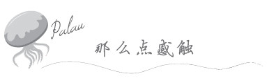 那么点感触 那么点感触