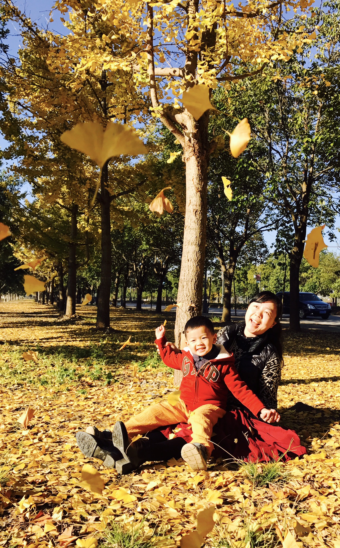 騰衝自助遊攻略