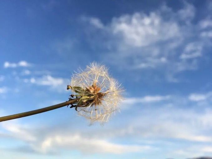 八月,我们去西北吧