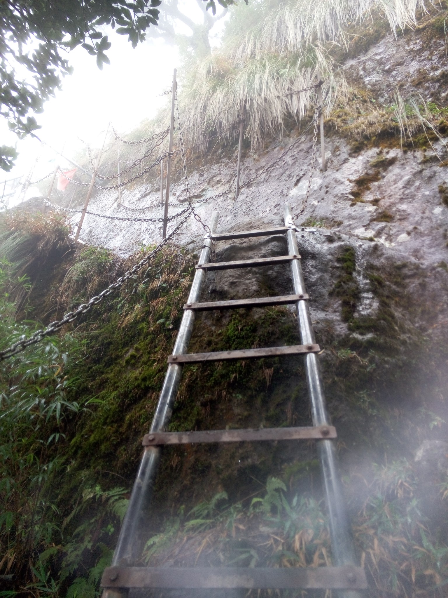 五指山人口_五指山的人口