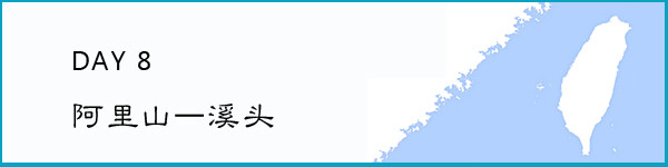 第八天 穿越新中横 第八天 穿越新中横