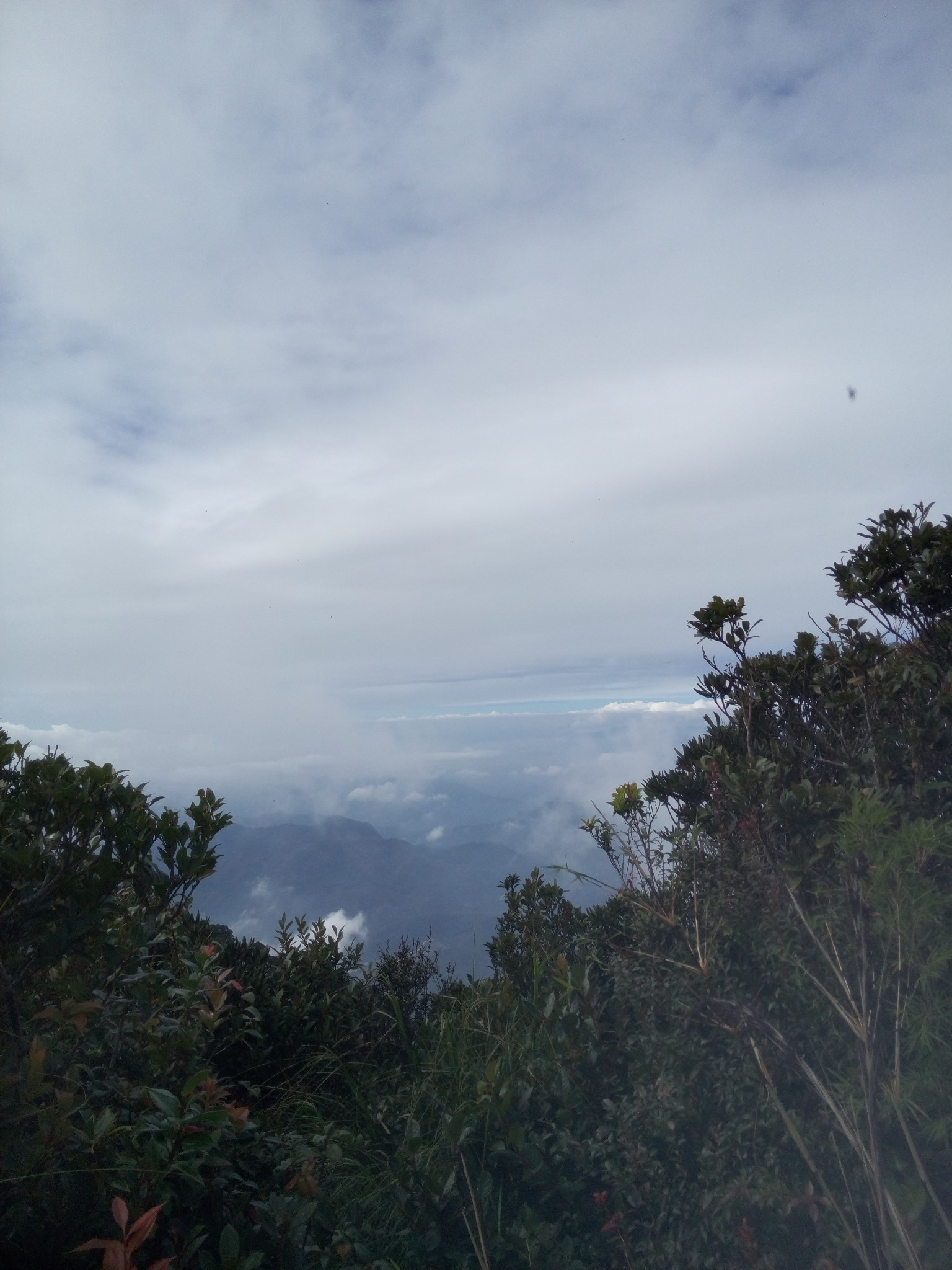 五指山市有多少人口_水晶绿岛周边配套图 五指山