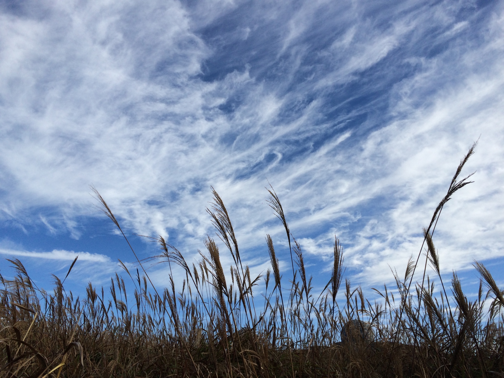 wKgBs1Y-85CAZeuwAB4OGjT20p489.jpeg?imageView2%2F2%2Fw%2F600%2Fq%2F90%7CimageMogr2%2Fstrip%2Fquality%2F90