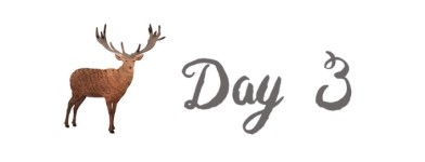 Day 3 赫尔辛基6小时 Day 3 赫尔辛基6小时