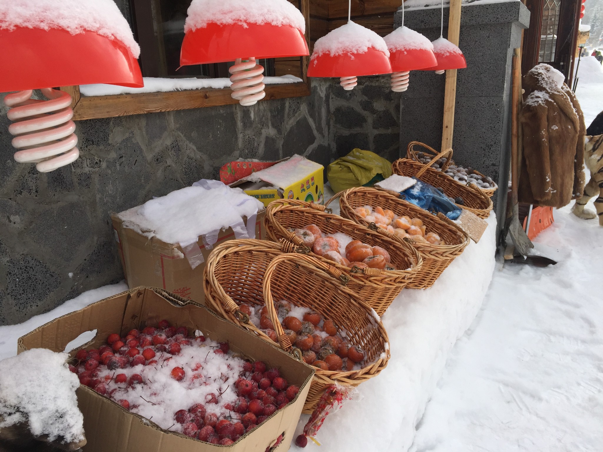 雪鄉自助遊攻略