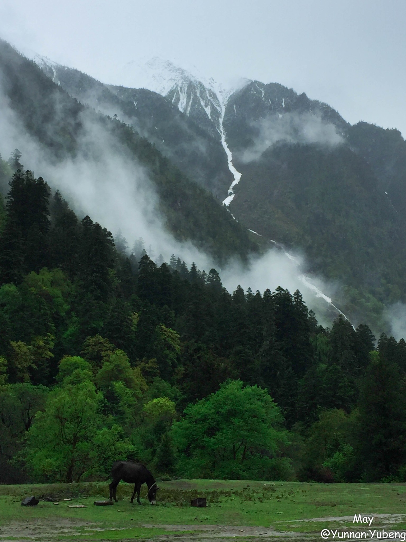 雨崩自助遊攻略