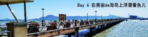 day 6 day 6