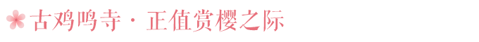 古鸡鸣寺:正值赏樱之际 古鸡鸣寺:正值赏樱之际